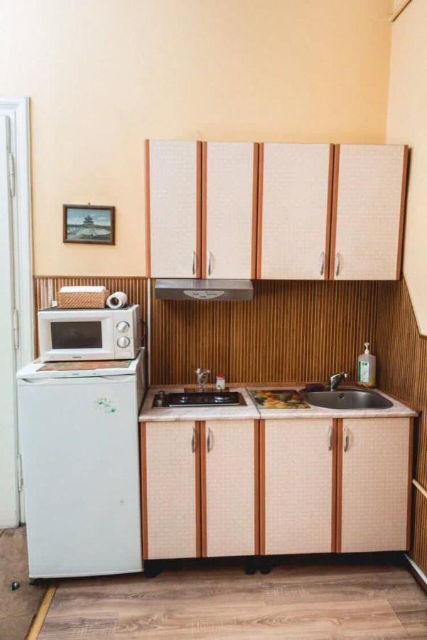 Apartment Veronica In Center Lviv Bagian luar foto